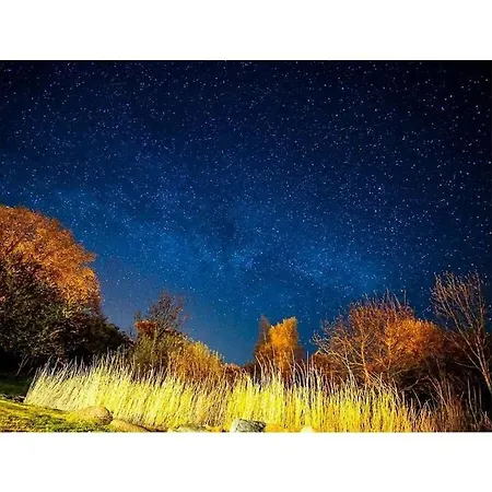 Dycke Haus 6 Comfortable